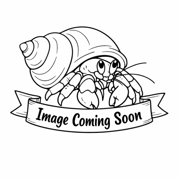 Beef 'n It  - Protein Blend